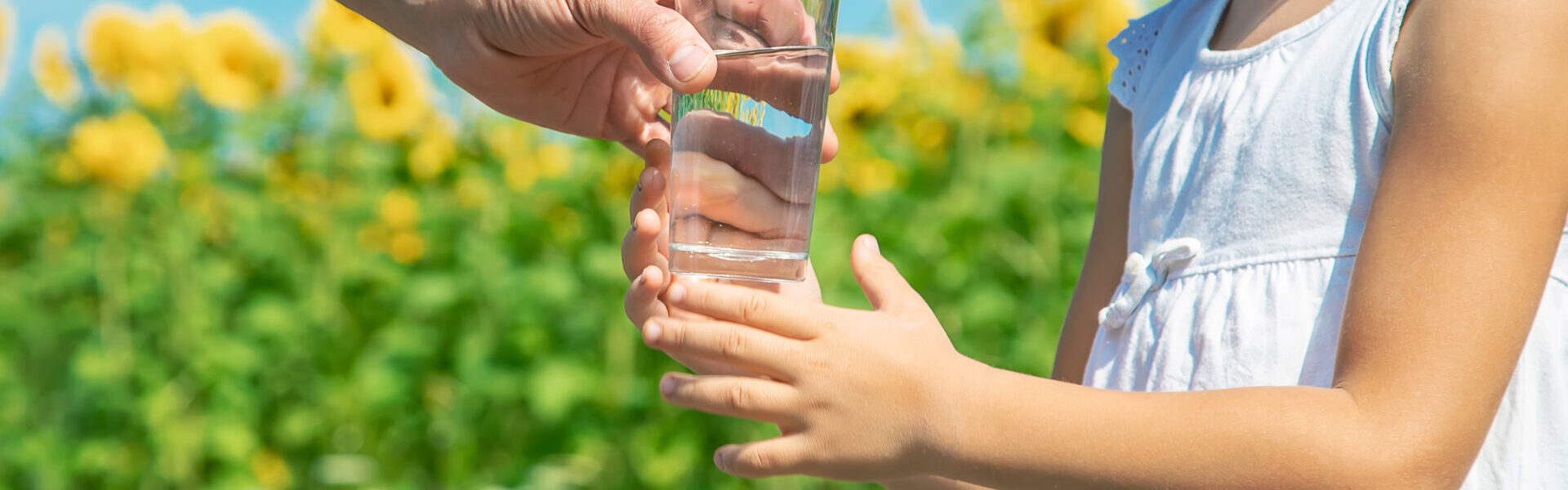 MIneralwasser oder Leitungswasser? Welches Wasser ist sicherer?